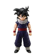 Dragon Ball Z S.H.Figuarts Son Gohan Z Warrior Limited Stand Set A Action Figure