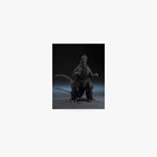 Godzilla 1989 S.H.MonsterArts Movie Graphic Plus Figure