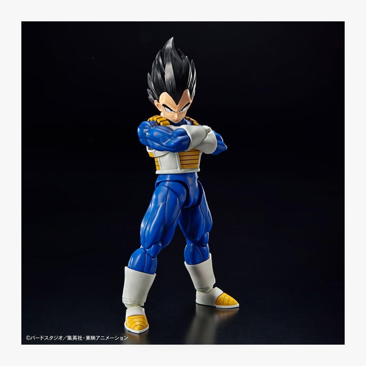 Dragon Ball Vegeta Plastic Model Kit