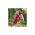 Trio-Try-iT Figure―犬夜叉―vol.2 画像2